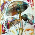 Mushroom 4, technique mixte sur toile 40x40cm, disponible Galerie Art Up Deco Paris